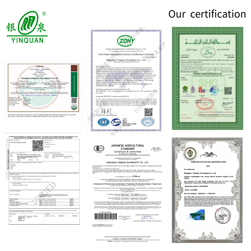 YinQuan certificate collage